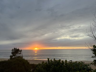 IMG_4806.jpeg