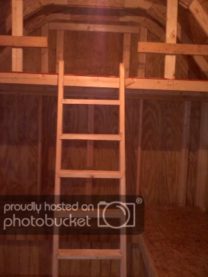cabinwithladder.jpg